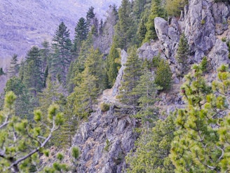 3.Il sentiero dei Forestali (2) - Foto di DiegoDRAGO.jpg
